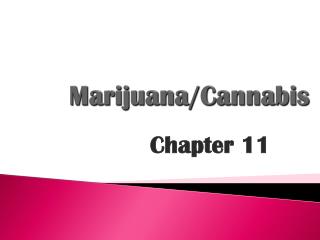 Marijuana/Cannabis