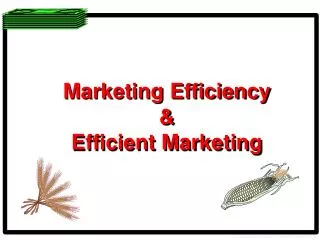 Marketing Efficiency &amp; Efficient Marketing