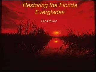 Restoring the Florida Everglades