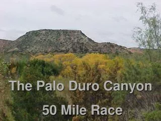 The Palo Duro Canyon 50 Mile Race