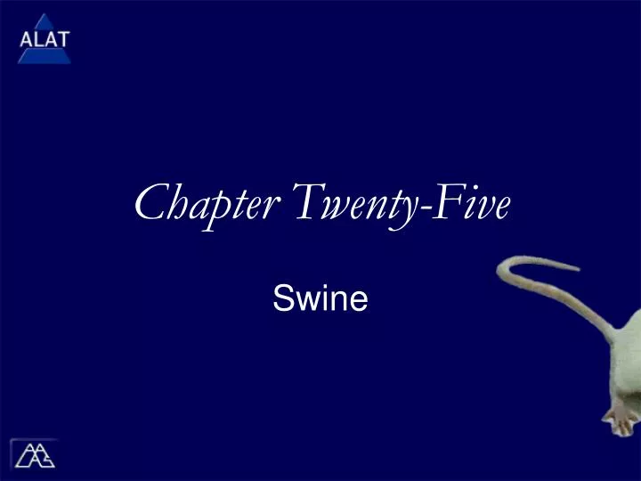 chapter twenty five
