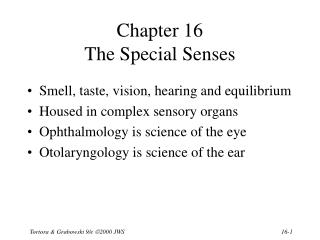 Chapter 16 The Special Senses