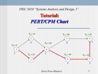 Tutorial: PERT/CPM Chart