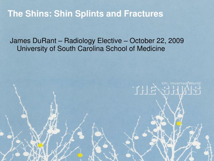 the shins shin splints and fractures