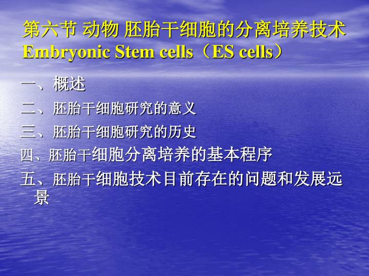 embryonic stem cells es cells