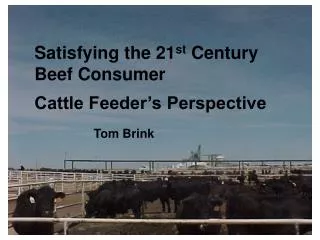 Satisfying the 21 st Century Beef Consumer Cattle Feeder’s Perspective Tom Brink