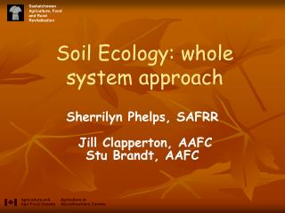Soil Ecology: whole system approach