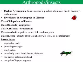 Arthropods/insects