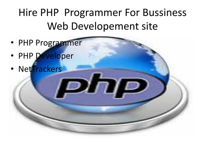 hire php programmer for bussiness web developement site