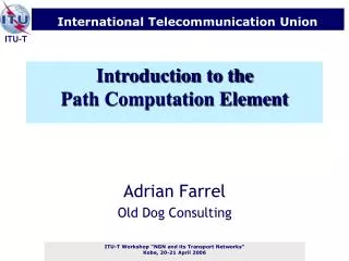Introduction to the Path Computation Element