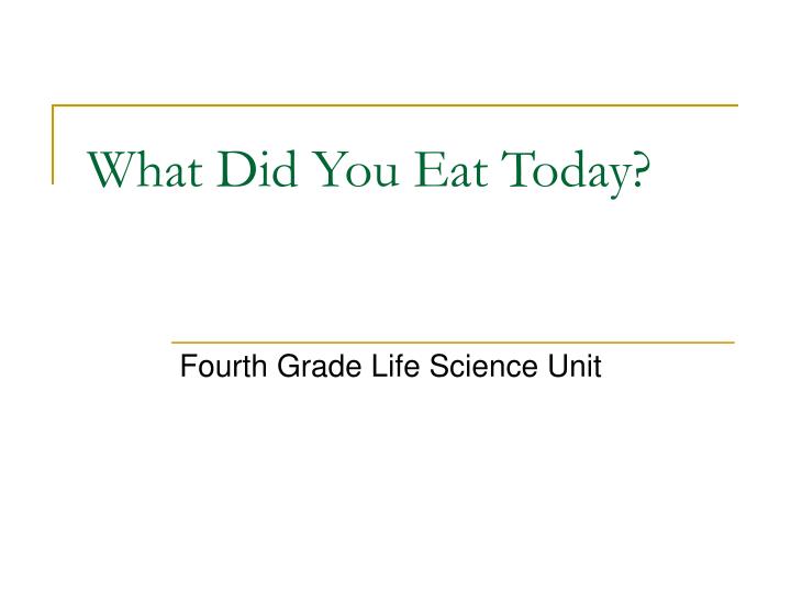 what did you eat today