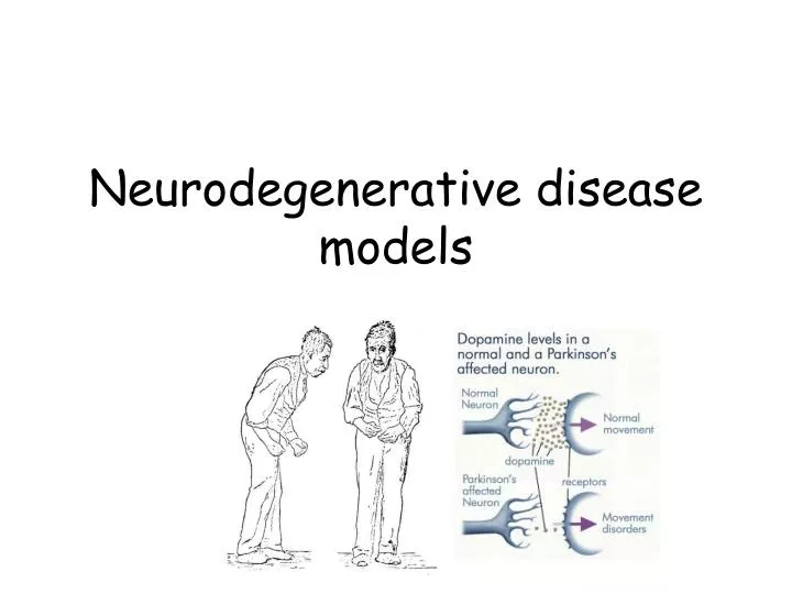neurodegenerative disease models
