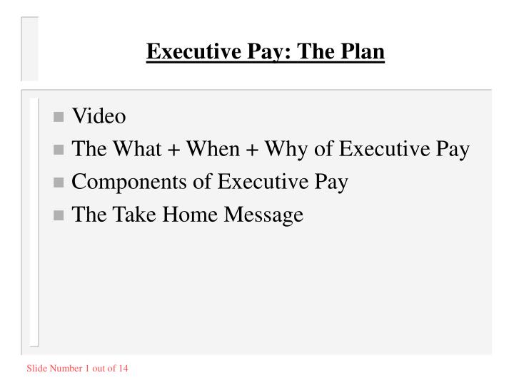 executive pay the plan
