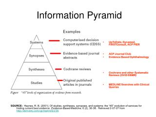 Information Pyramid
