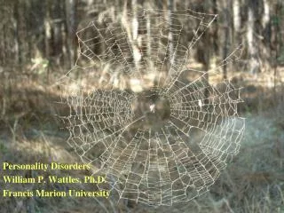 Personality Disorders William P. Wattles, Ph.D. Francis Marion University