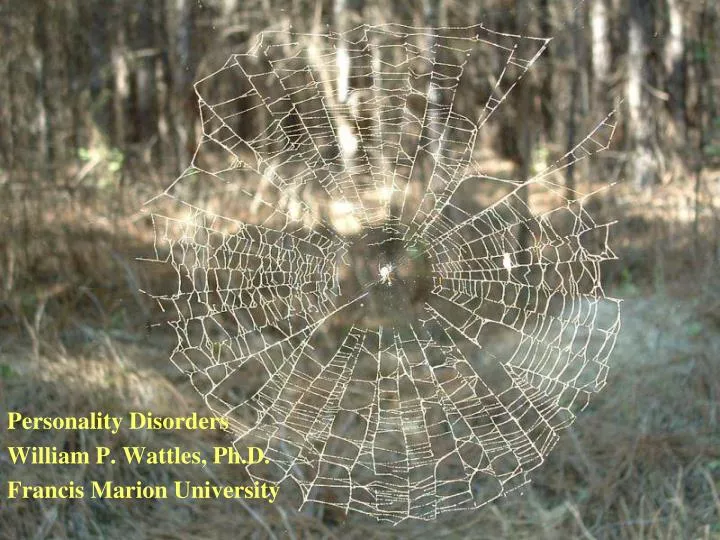 personality disorders william p wattles ph d francis marion university