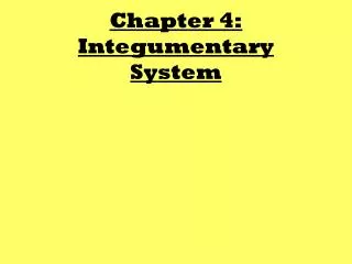 Chapter 4: Integumentary System