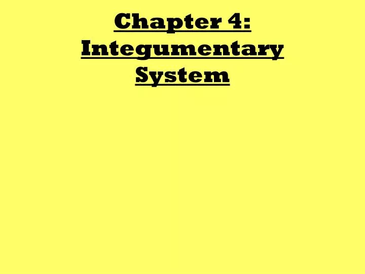 chapter 4 integumentary system