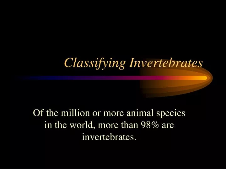 classifying invertebrates