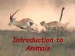 Introduction to animals - slide 1