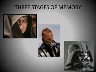 THREE STAGES OF MEMORY