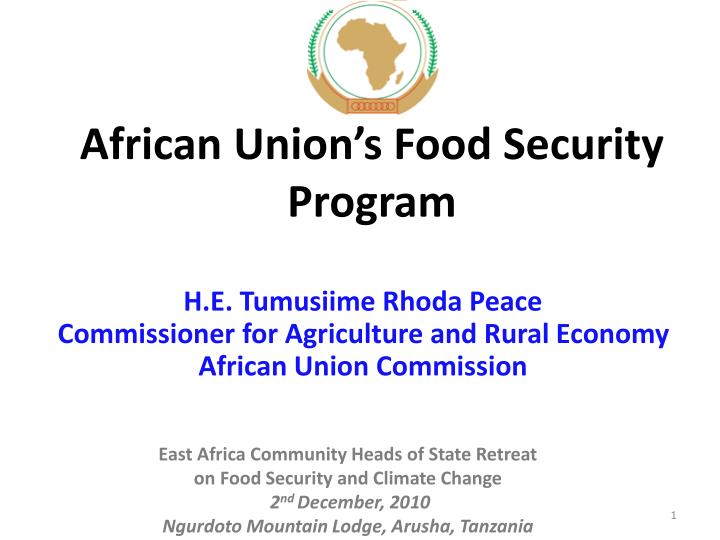 african union s food security program