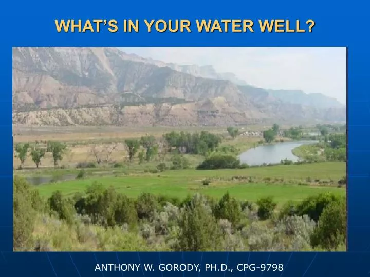what s in your water well