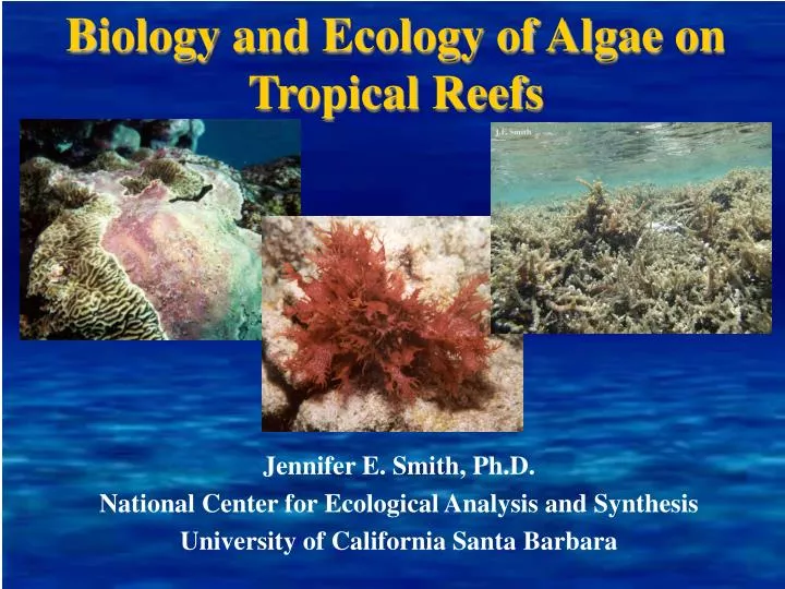 biology and ecology of algae on tropical reefs