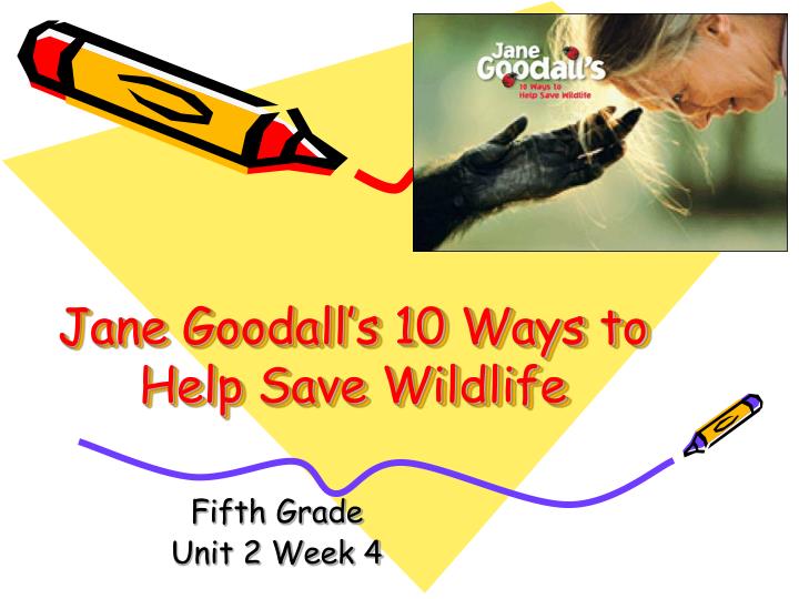 jane goodall s 10 ways to help save wildlife
