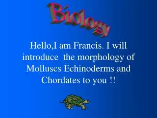 Hello,I am Francis. I will introduce the morphology of Molluscs Echinoderms and Chordates to you !!