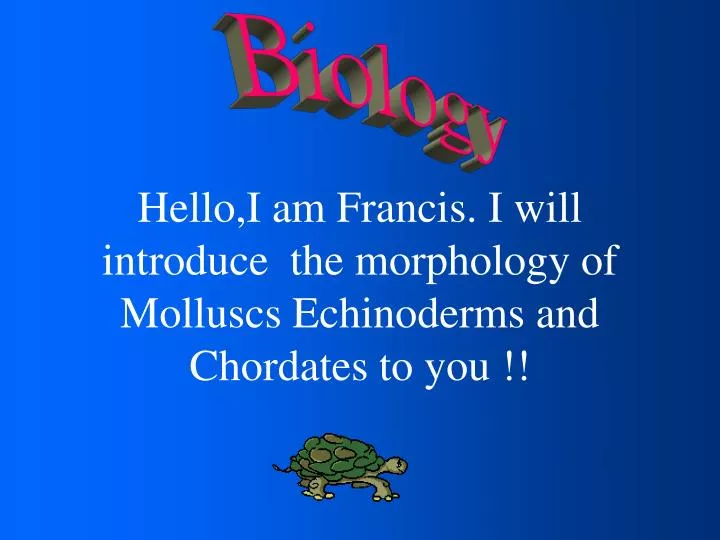 hello i am francis i will introduce the morphology of molluscs echinoderms and chordates to you