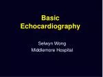 Basic Echocardiography