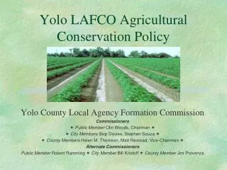 Yolo LAFCO Agricultural Conservation Policy