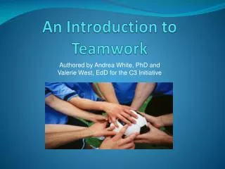 An Introduction to Teamwork