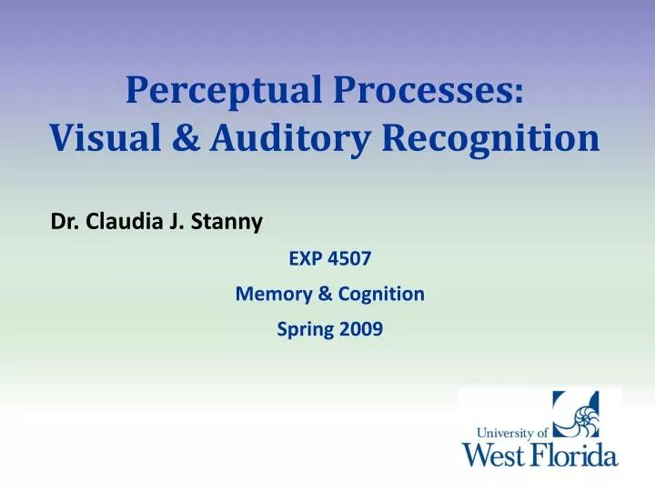 perceptual processes visual auditory recognition