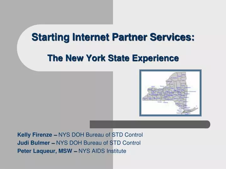 starting internet partner services the new york state experience