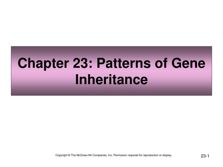 chapter 23 patterns of gene inheritance