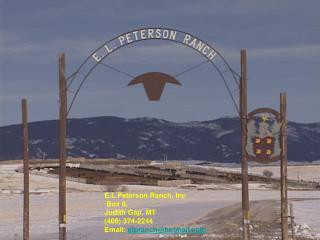 E.L Peterson Ranch, Inc Box 8, Judith Gap, MT (406) 374-2244 Email: elpranch@hotmail