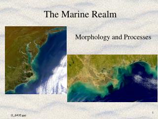 The Marine Realm
