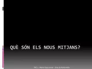qu s n els nous mitjans