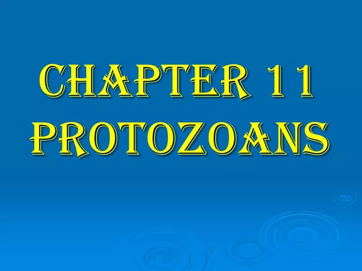 chapter 11 protozoans