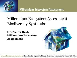 Millennium Ecosystem Assessment Biodiversity Synthesis Dr. Walter Reid, Millennium Ecosystem Assessment