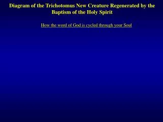 Diagram of the Trichotomus New Creature Regenerated by the Baptism of the Holy Spirit