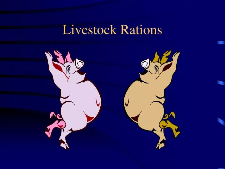 livestock rations