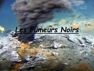 les fumeurs noirs