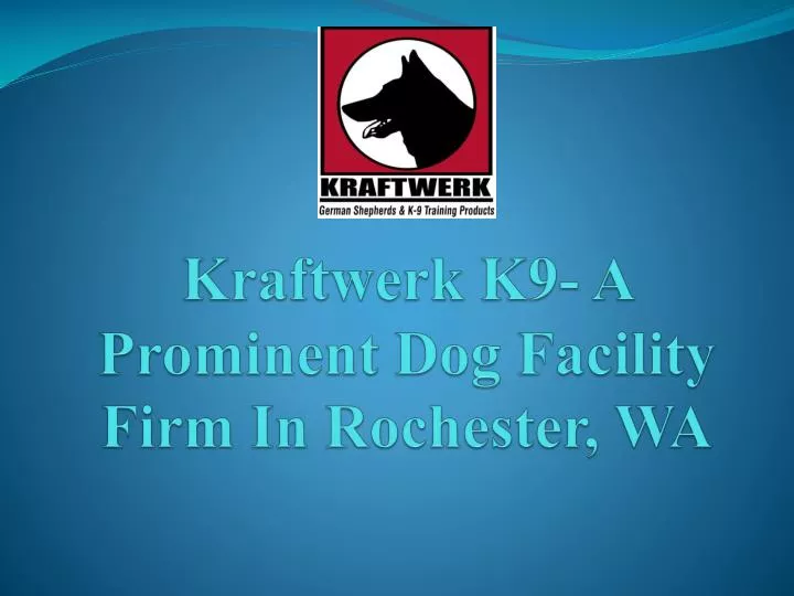 kraftwerk k9 a prominent dog facility firm in rochester wa