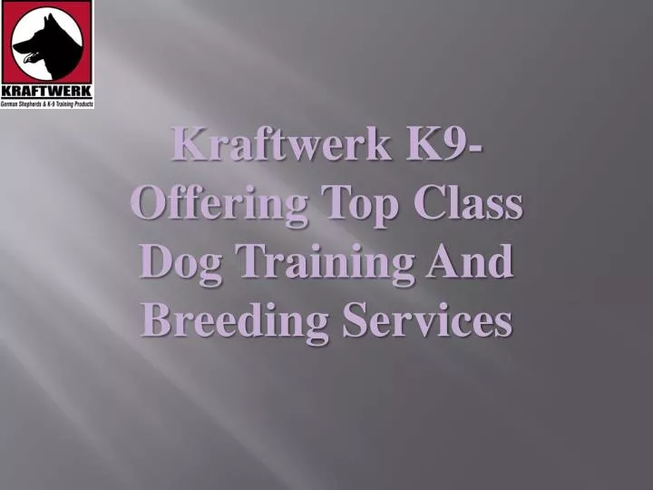 kraftwerk k9 offering top class dog training and breeding services