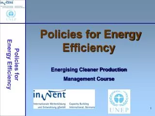 Policies for Energy Efficiency Energising Cleaner Production Management Course