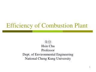 Efficiency of Combustion Plant