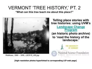 VERMONT ‘TREE HISTORY,’ PT. 2 “What can this tree teach me about this place?”